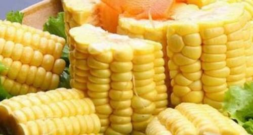功效|多食粗粮有益身体健康,你知道玉米的这些医学功效吗?