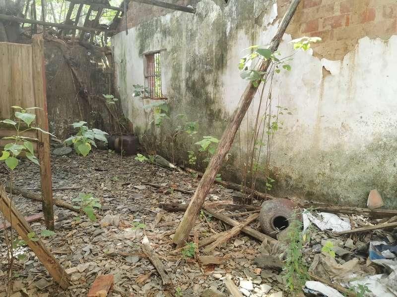 玉环|张玉环被羁押9778天背后:父子相互缺席的27年