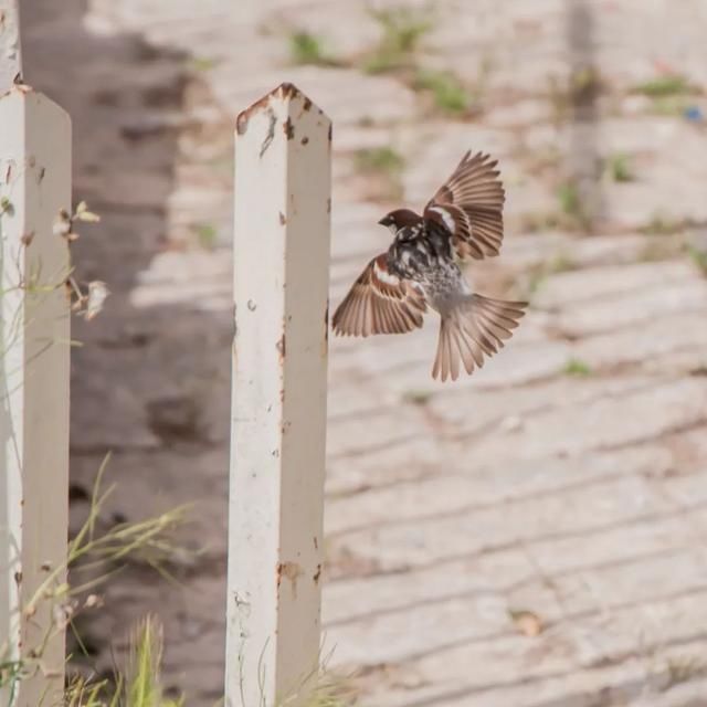  shui|陈燕：光不度，shui水成文