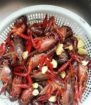 路边|路边大排档的秘密——蒜蓉小龙虾