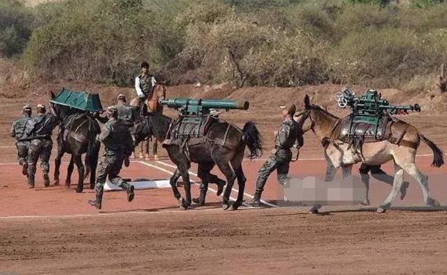 印度|印度边境一声巨响，精锐士兵被撕成碎片而亡，邻国网友笑出猪叫