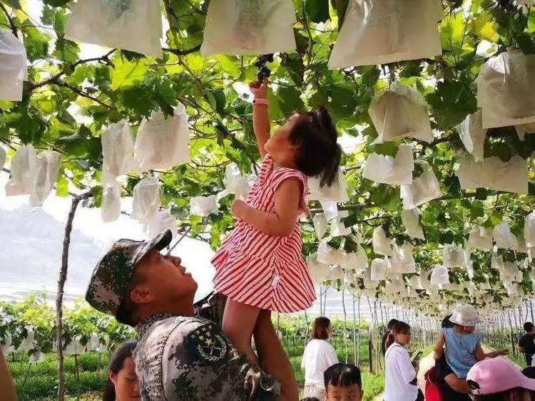 巩义|【文明城市】我是巩义人，我为文明代言