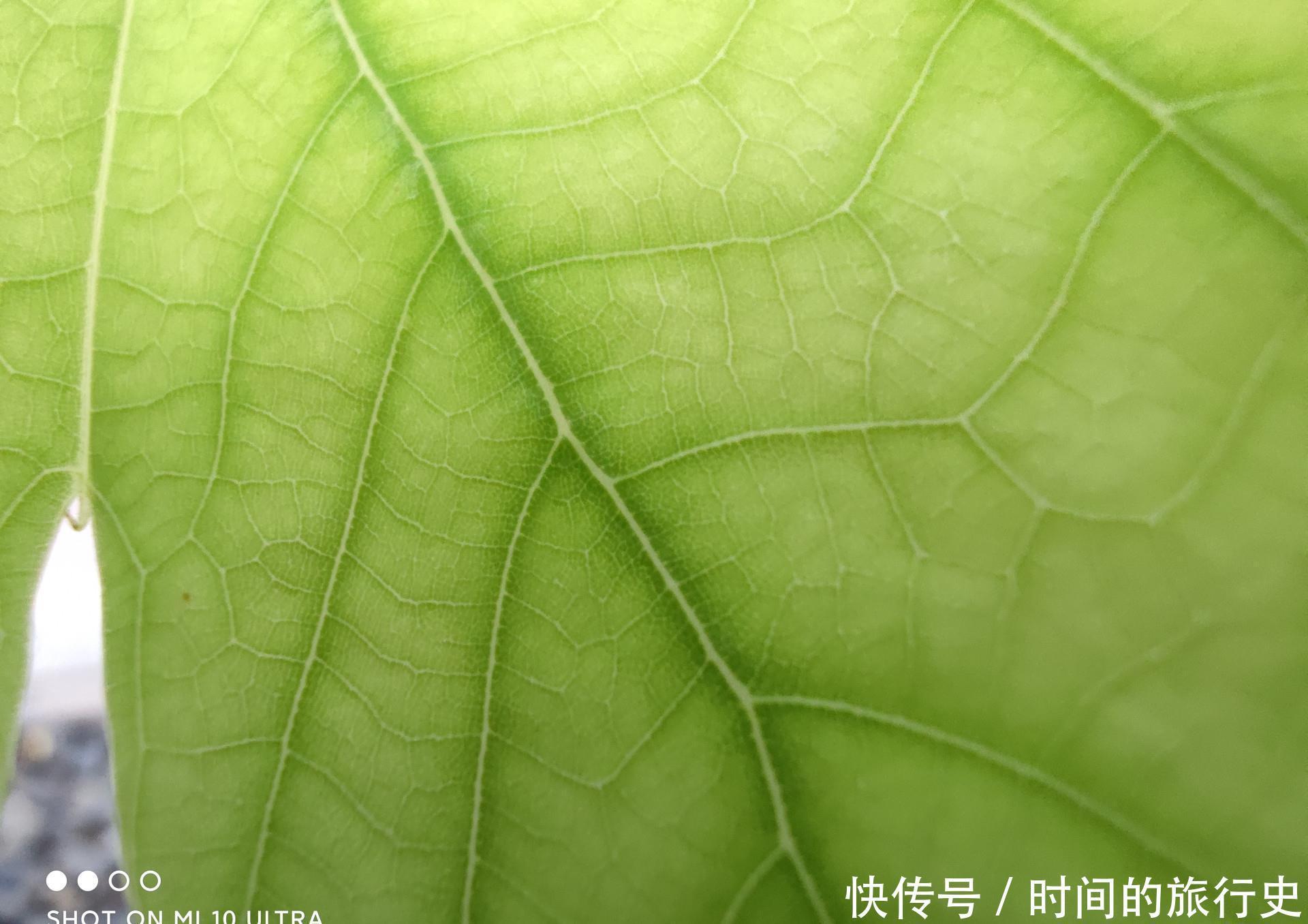 旗舰|年度水桶旗舰?小米10至尊纪念版上手体验