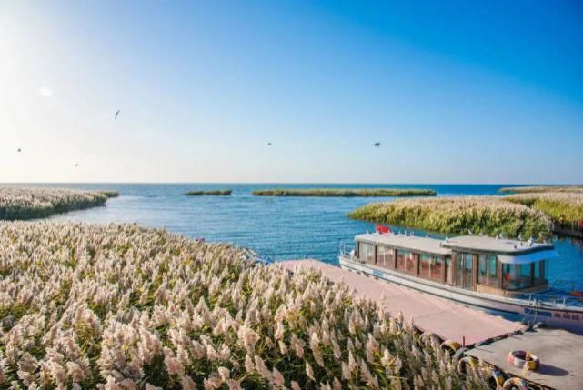 额济纳旗|【阅读】有一种心动,叫额济纳的秋天