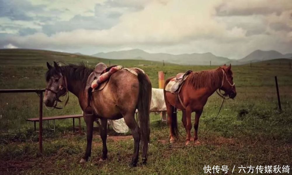  藏区|甘南，除了海拔，藏区的一切你都有∣该去·游