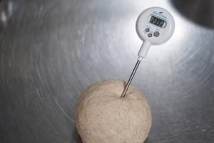  全麦|黑麦全麦香肠面包 100%全麦30%黑麦 无油无蛋无奶