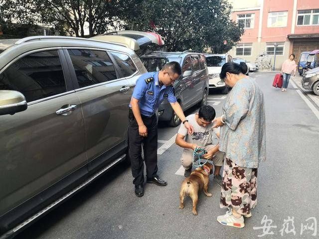 城管|合肥开展文明养犬集中整治，市城管部门成立千人巡查队