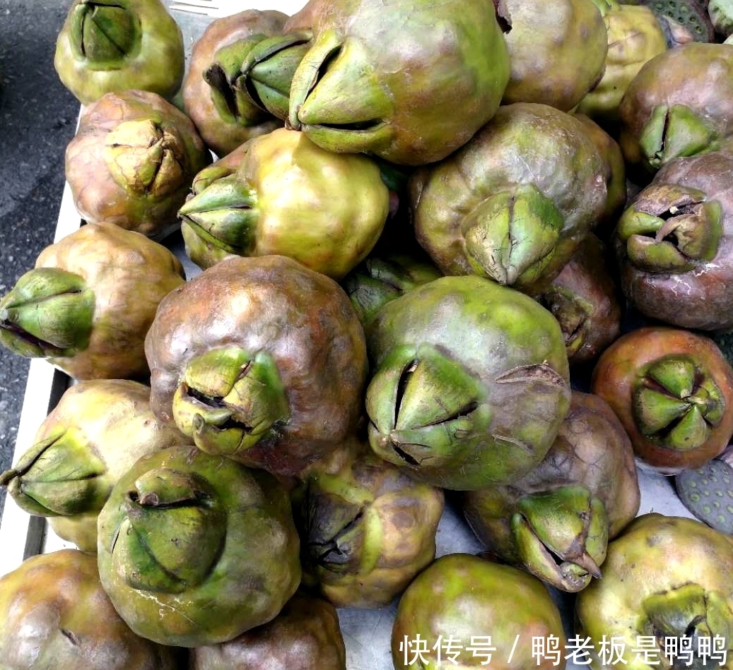 茭白|大道至简的人间至味,醉的何止是舌尖?