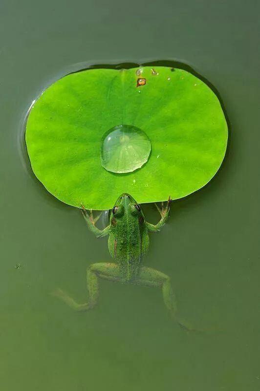 难得一见|奇妙风光，难得一见