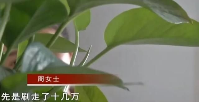 文胸|208元的文胸实际花了105万？！新手小妈妈直接懵圈