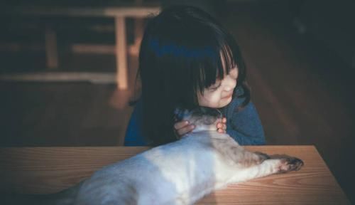 告诉活动|游戏的趣味性,幼儿在探索纸箱玩法,纸箱可以一物多用