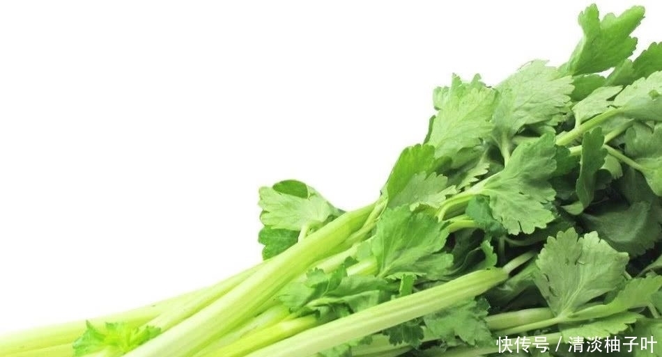 会把芹菜|当许多人吃芹菜时,会扔掉芹菜叶,芹菜叶可以吃吗?