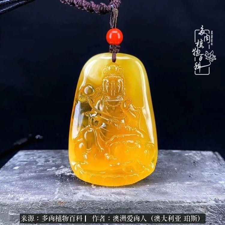 血放|多肉让你把血放，文玩掏空你家当，你要在哪个坑里乘风破浪？