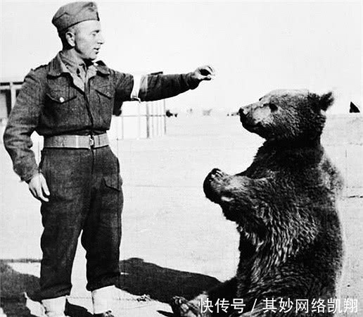 第二次世界大战|第二次世界大战中的十件事实,真相让人无法相信