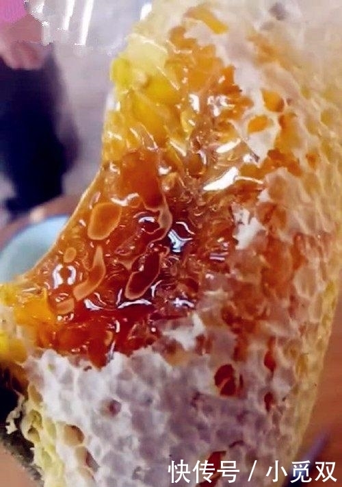 外婆|和外婆逛菜市场, 看见“稀罕美食”, 150元一斤, 我毫不犹豫买了6斤