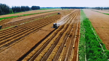 t11508c75c8460bf81e9cb578ec.gif?size=360