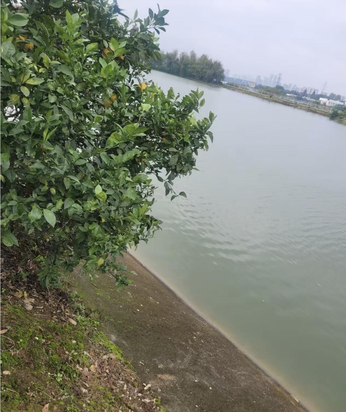 t11508c75c87bdde68cadf9bee2.jpg?size=112