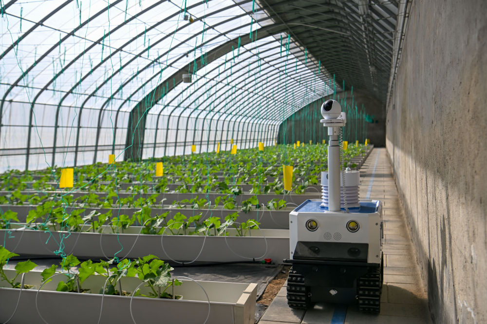 t11508c75c8fcaf18991f595001.jpg?size=100