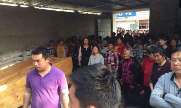 春晚福娃邓鸣贺仅8岁死因让人反思墓地心酸董卿哈文惋惜